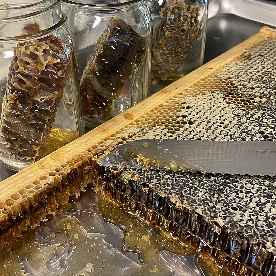 Raw & Unfiltered Texas Honey