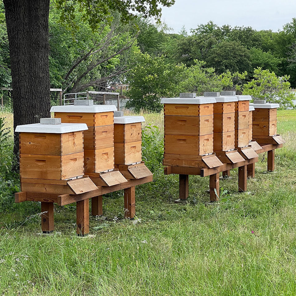 Honey Bee Lease Program - Ag Exemption