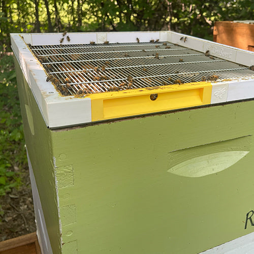 3-In-1 Super Shim™ for Langstroth Hives – Bee Sweet Honey Tx