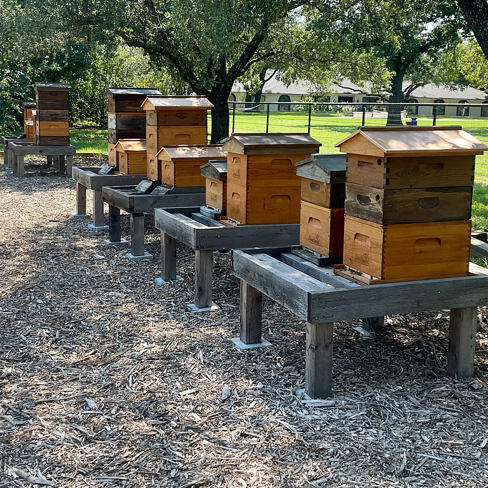 Honey Bee Lease Program - Ag Exemption