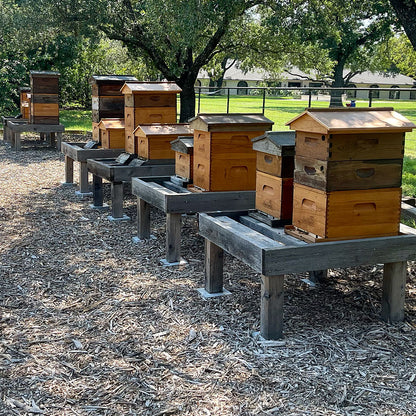 Honey Bee Lease Program - Ag Exemption