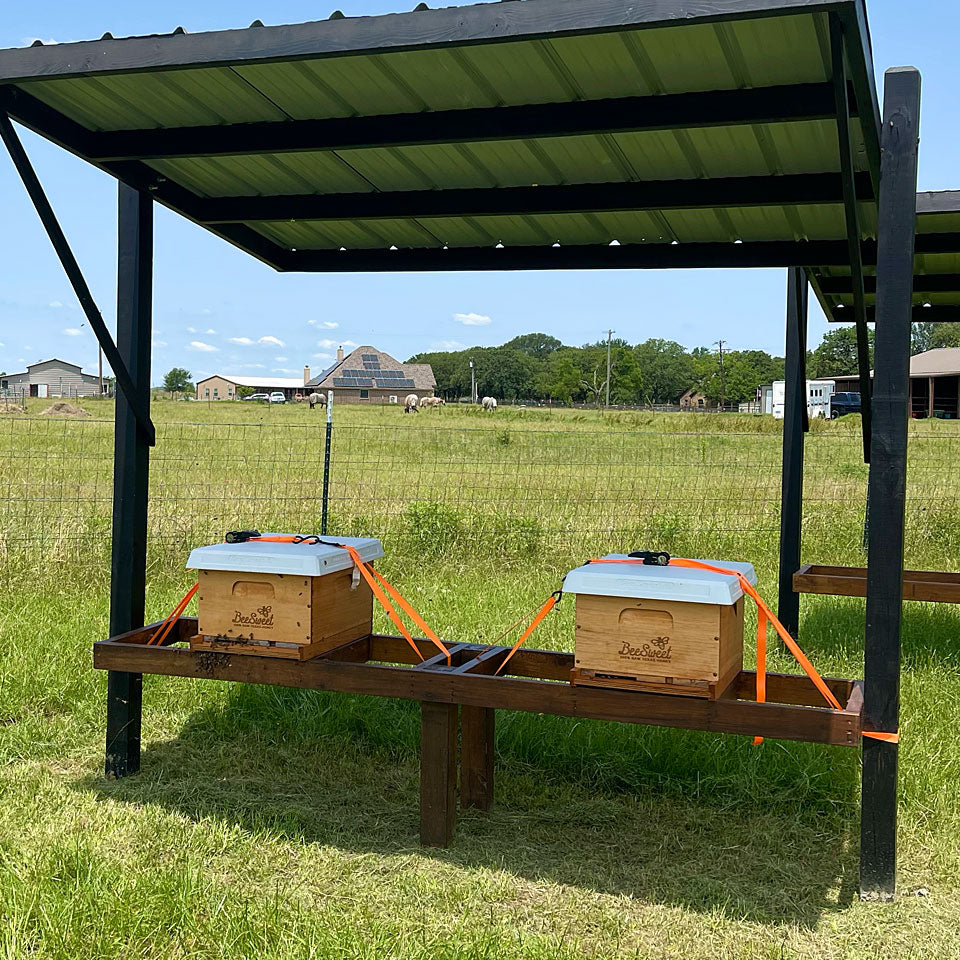 Honey Bee Lease Program - Ag Exemption