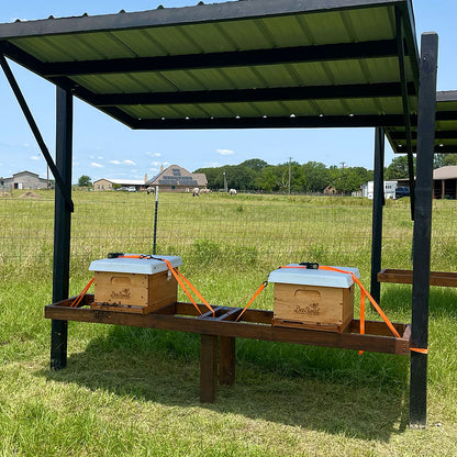 Honey Bee Lease Program - Ag Exemption