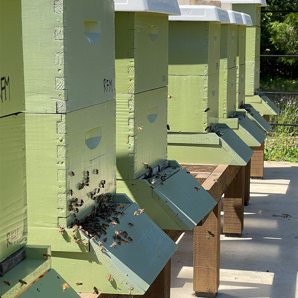 Honey Bee Lease Program - Ag Exemption