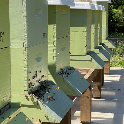 Honey Bee Lease Program - Ag Exemption