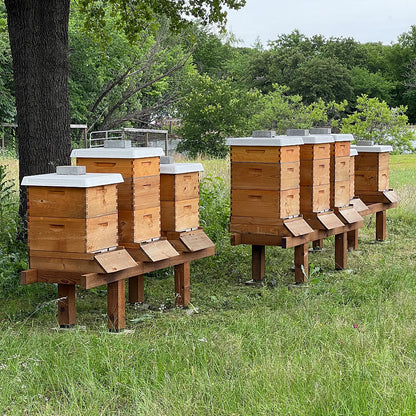 Honey Bee Lease Program - Ag Exemption